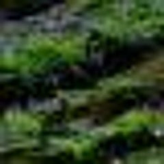 ふるかつのプロフィール