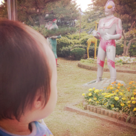 アコ☆彡