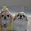 きゅんママのサムネイル
