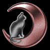 月猫