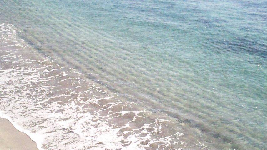海