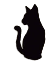 invisible_cat