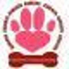 ディア・ドッグのプロフィール