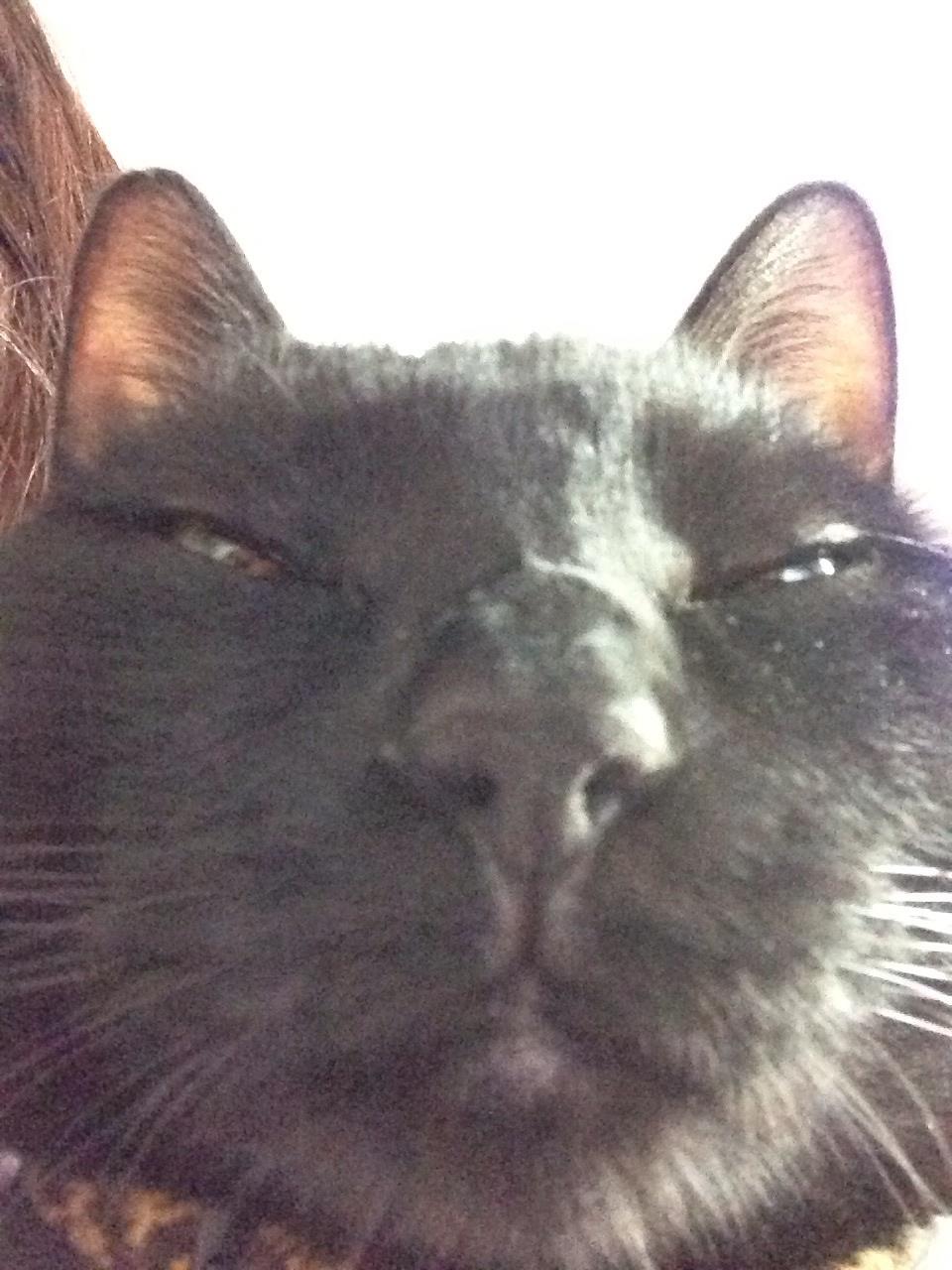 きお