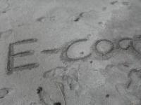 e-coa