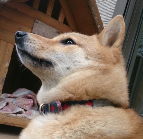 てっくん