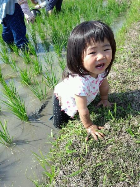 まみむめみく