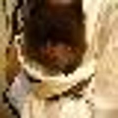 midoのプロフィール