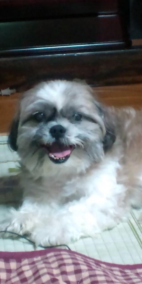 Rocky
