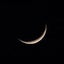 画像 kizuki－絆月－ねこのはないき in NewYorkのユーザープロフィール画像