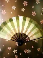 蓮妃‐Rei‐