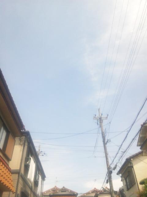 カメリア