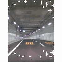 イエローバード（湾岸の帝王）