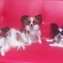 mのプロフィール