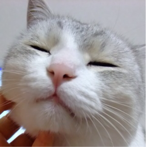 まさむね