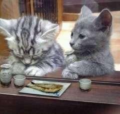 みかちん