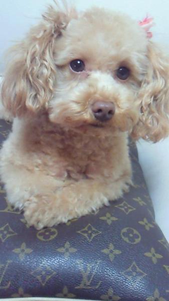 honey＊kaya