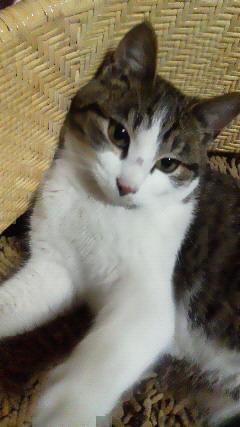 M(*^e^*)G 