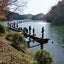 画像 初心者大歓迎！へたやけどひつこいで!日本一の管理釣り場を目指す嵐山FAのブログ。のユーザープロフィール画像