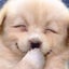 ばいぱーのサムネイル