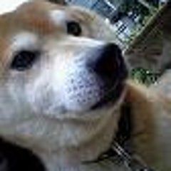 くろ子のプロフィール