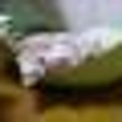 京都の病院全部に電話してみた 遊んであげてるとお思いか 京都の病院全部に電話してみた 遊んであげてるとお思いか