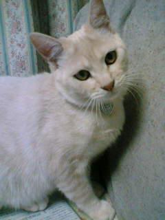 hiro☆