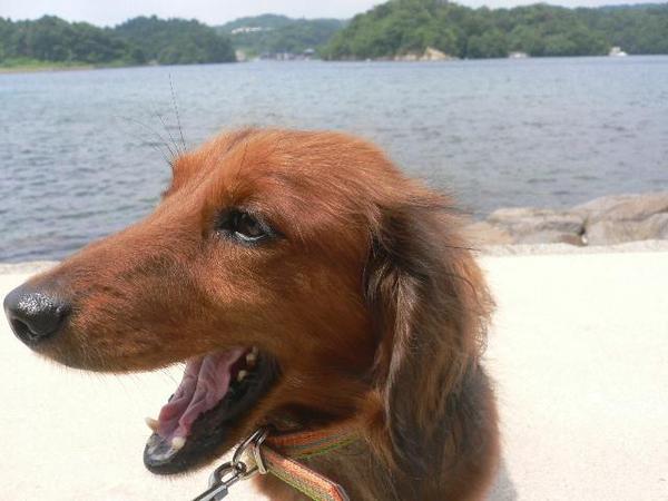 かんた