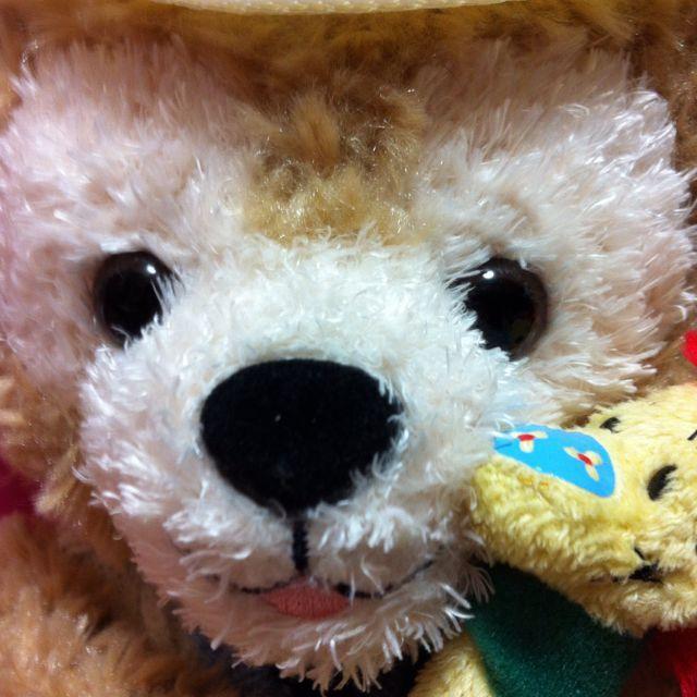 コンサートのダッフィー持ち込み禁止に Everyday Duffy