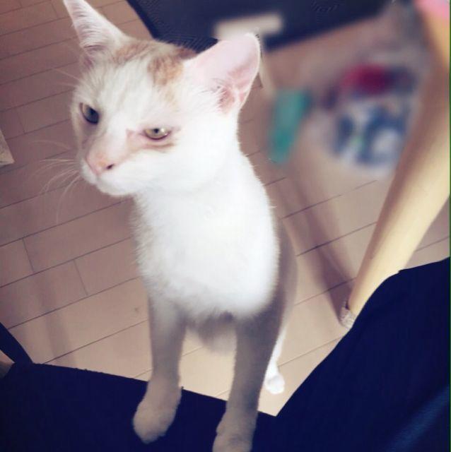 りょう