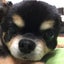 信歩のサムネイル