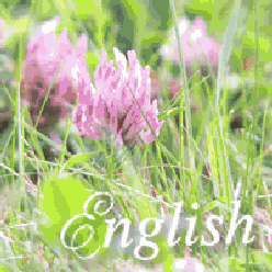 Naomi English Class 愛知県岡崎市の英会話教室さんのプロフィールページ Naomi English Class 愛知県岡崎市の英会話教室さんのプロフィールページ