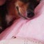 えみのサムネイル