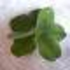 fufufuのプロフィール