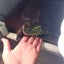麦のサムネイル