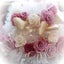 Arpegemacaronのサムネイル
