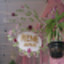 RENE JAPAN BEAUTY & HEALTH（理学療法スパ）のサムネイル