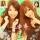 kaoriane☆