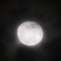 灯のプロフィール