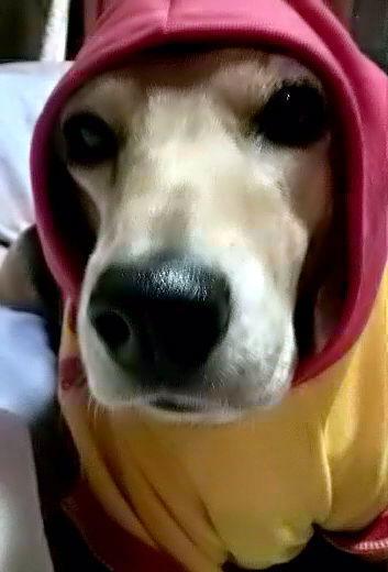 りさ