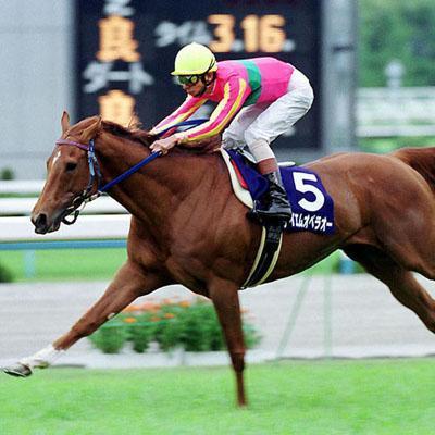 質問に答えます オペペの競馬日記