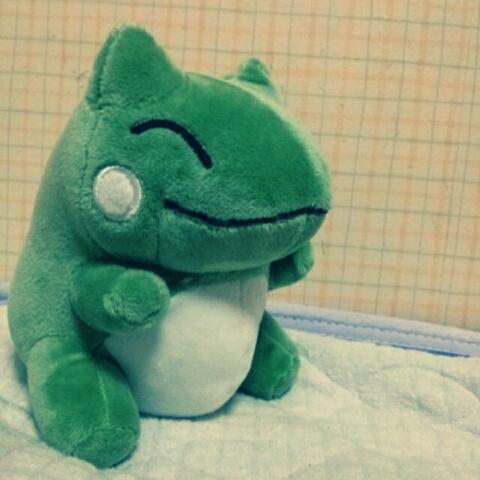 きょむ子