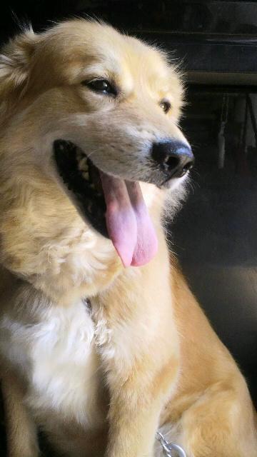 忍たま欠番回 二期51 53話 の思い出 おちか節