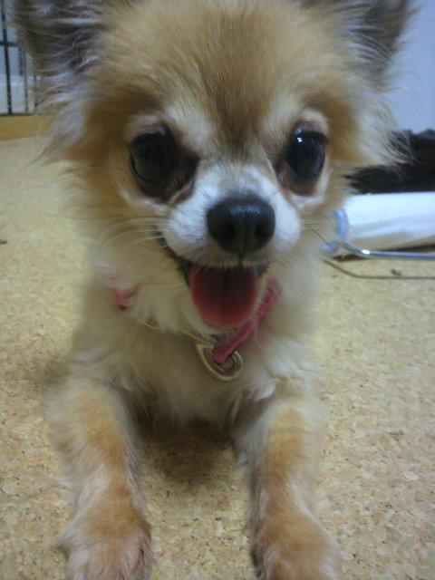 わぇ
