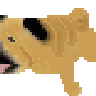 パグJのプロフィール