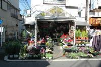 ４代目の花屋です