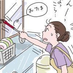 アイリーンジャスミン カロライナジャスミン Yamaちゃん 気まぐれdiary