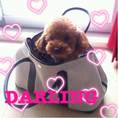 みぃこ♡Darling