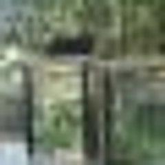 龍が如く4 伝説を継ぐもの リョースケと深海さんの煩悩日記 龍が如く4 伝説を継ぐもの リョースケと深海さんの煩悩日記