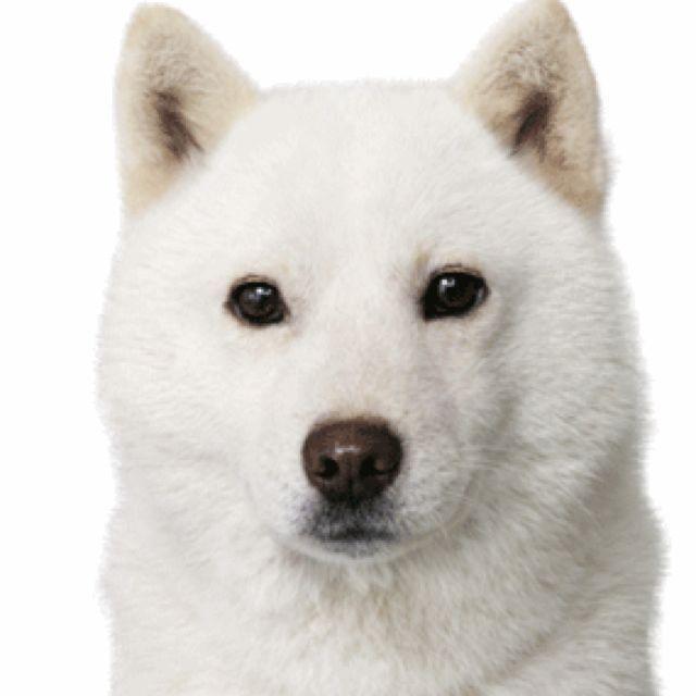L.O.G.